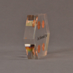 Side view of 4" x 5" hexagon acrylic embedment award with four pennies cast in clear acrylic and black text.