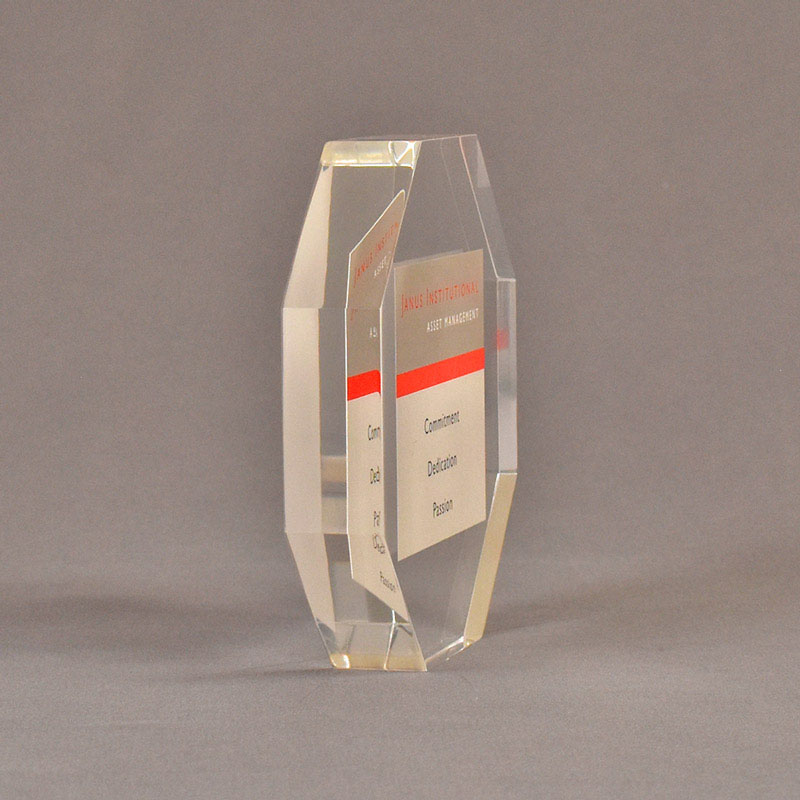 Array Octagon Acrylic Embedment 5