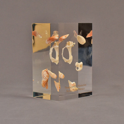 Angle view of 3" x 4" x 6" rectangle block acrylic embedment award with sea shells cast into clear acrylic.