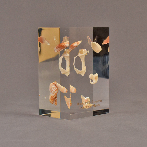 Angle view of 3" x 4" x 6" rectangle block acrylic embedment award with sea shells cast into clear acrylic.