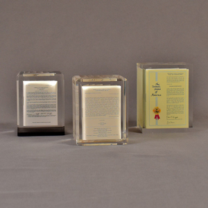 Three prospectus book acrylic embedment awards with legal documents cast in crystal clear acrylic.