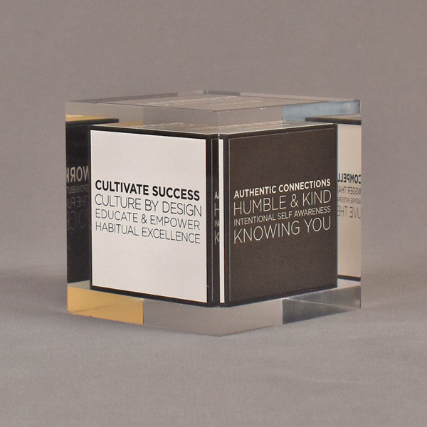 Angle view of 3 1/2" cube acrylic embedment award with creative printed cube cast into clear acrylic.