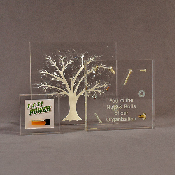 Three square acrylic embedment awards showing clarity of cast objects in crystal clear acrylic.