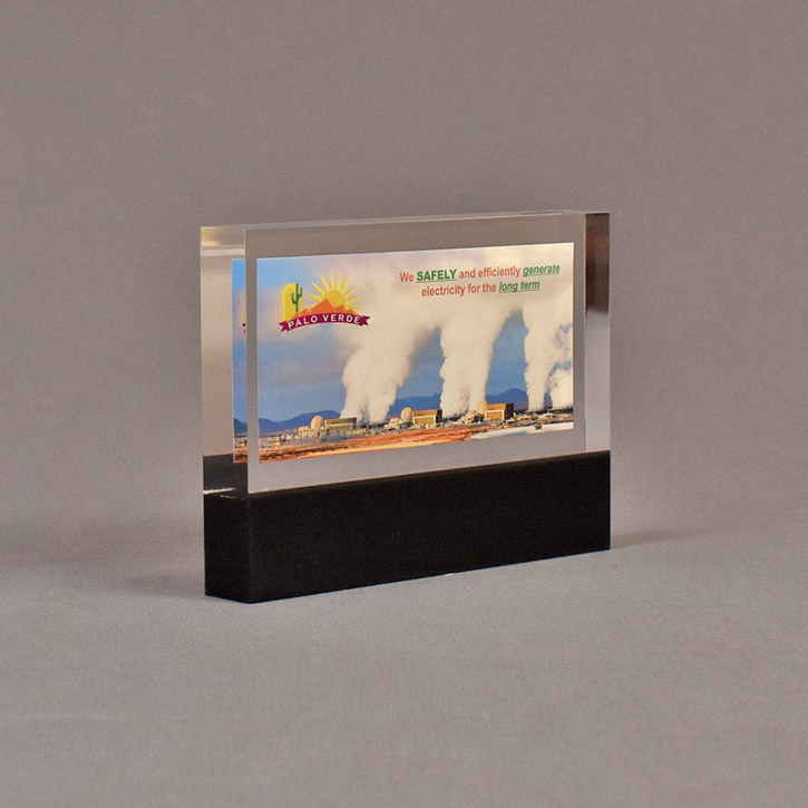 Angle view of 4 1/2" x 6" rectangle acrylic embedment award with Palo Verde promotional photo cast in acrylic.
