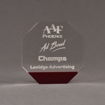 Front view of ColorCast™ 6" Octagon Acrylic Award with transparent burgundy color highlight showing trophy laser engraving.