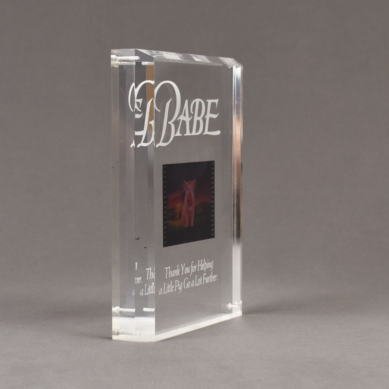 Allure™ Acrylic Photo Entrapment | USAcrylicAwards.com