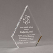 Angle view of Aspect™ 8" Peak™ Acrylic Award featuring laser engraved science logo and Noes Middle School honoree text.