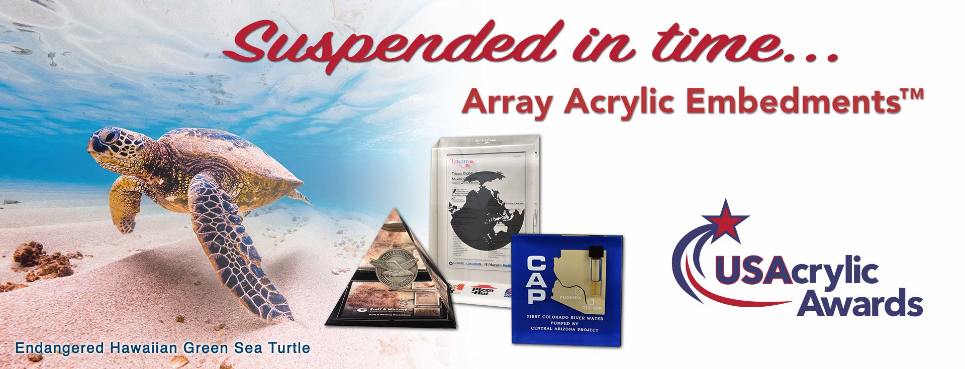 Sea turtle floating in crystal clear water with acrylic embedments and text Suspended in time... Array™ Acrylic Embedments