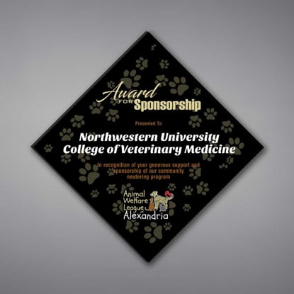 Adamas Acrylic Plaque shown 14" tall with black background and full color imprint of Northwestern University logo.