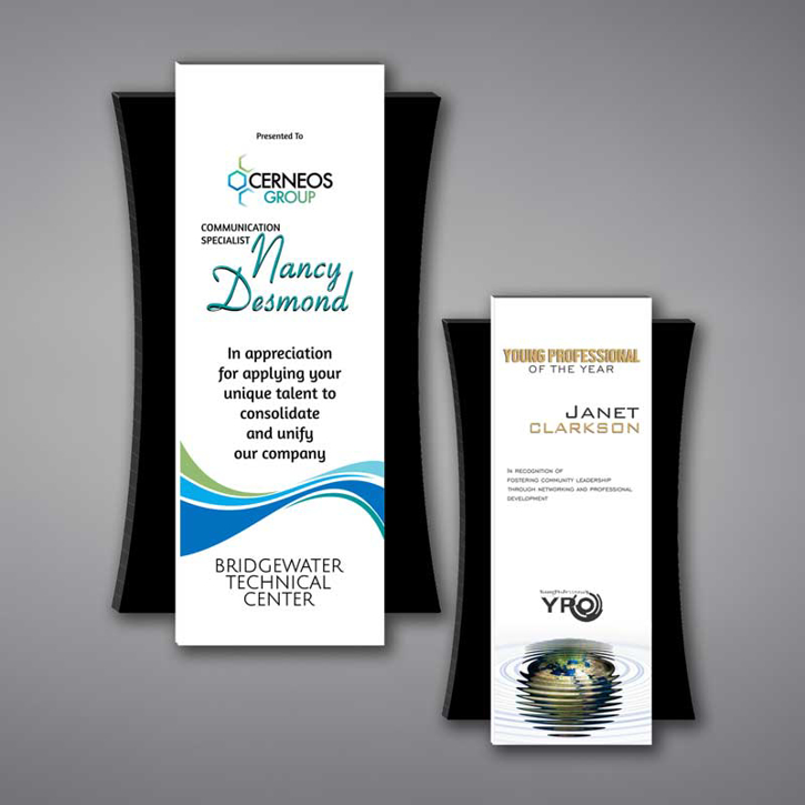 Two Plank Acrylic Plaques featuring a unique floating design and full color imprint of Young Professional of the Year Awards
