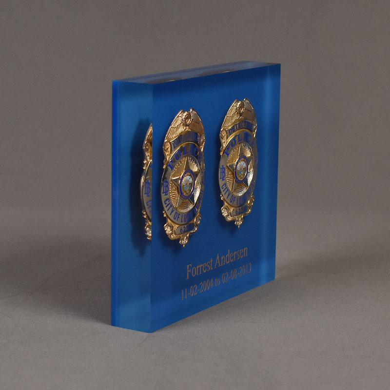 Lucite® Two Badge Embedment US Acrylic Awards