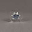 Front view of Circle Lucite® Badge Embedment with star shaped police service badge cast inside clear acrylic.