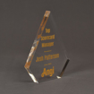 Side view of the Angi, Inc. Top Scorecard Manager Award featuring our exclusive Aspect™ Peak shaped acrylic trophy with gold ultraviolet printing.